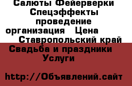 Салюты Фейерверки Спецэффекты проведение организация › Цена ­ 10 000 - Ставропольский край Свадьба и праздники » Услуги   